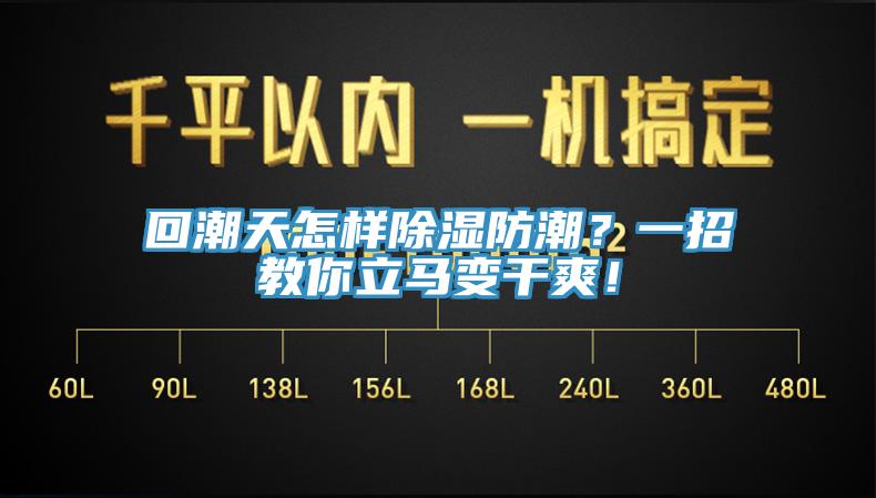 回潮天怎樣除濕防潮？一招教你立馬變干爽！