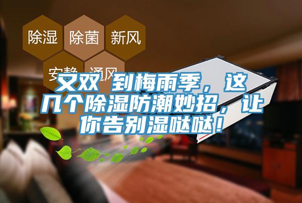 又雙叒到梅雨季，這幾個(gè)除濕防潮妙招，讓你告別濕噠噠！