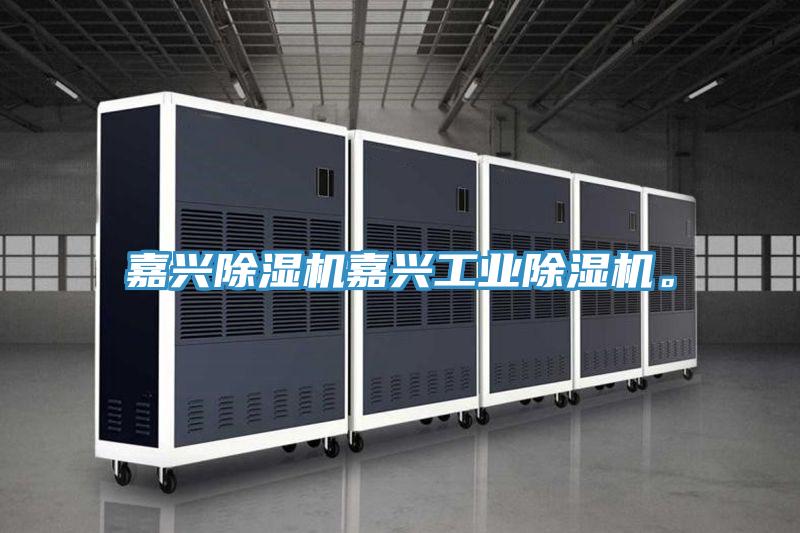 嘉興除濕機嘉興工業(yè)除濕機。