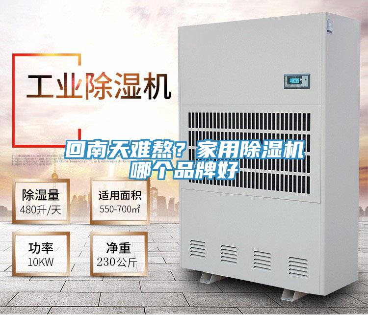 回南天難熬？家用除濕機(jī)哪個(gè)品牌好