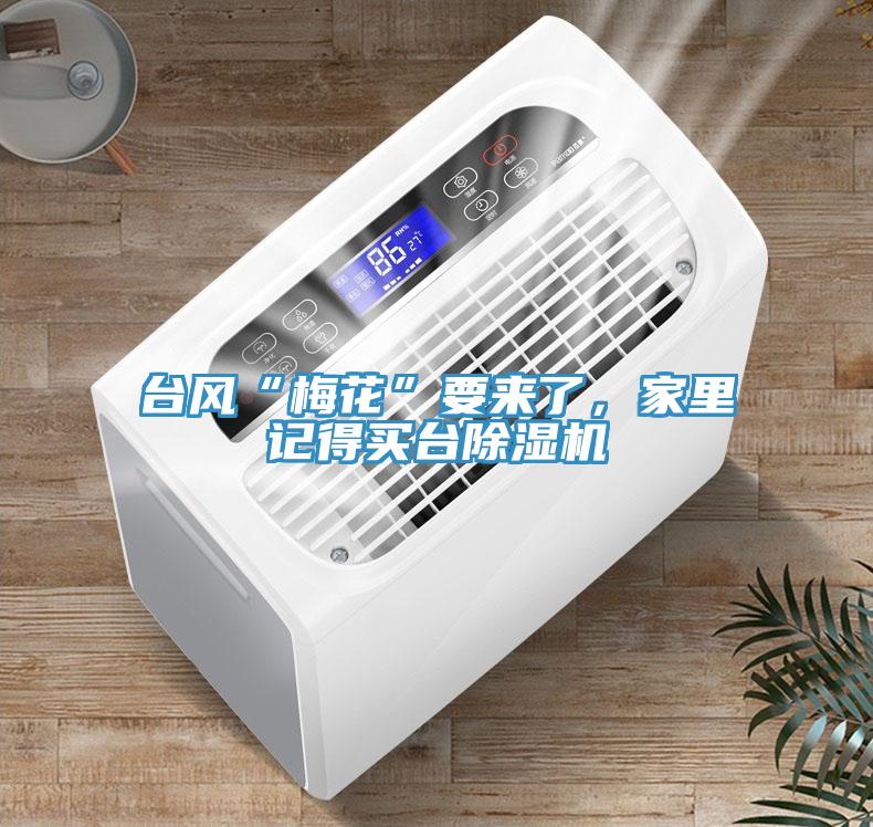 臺(tái)風(fēng)“梅花”要來(lái)了，家里記得買臺(tái)除濕機(jī)