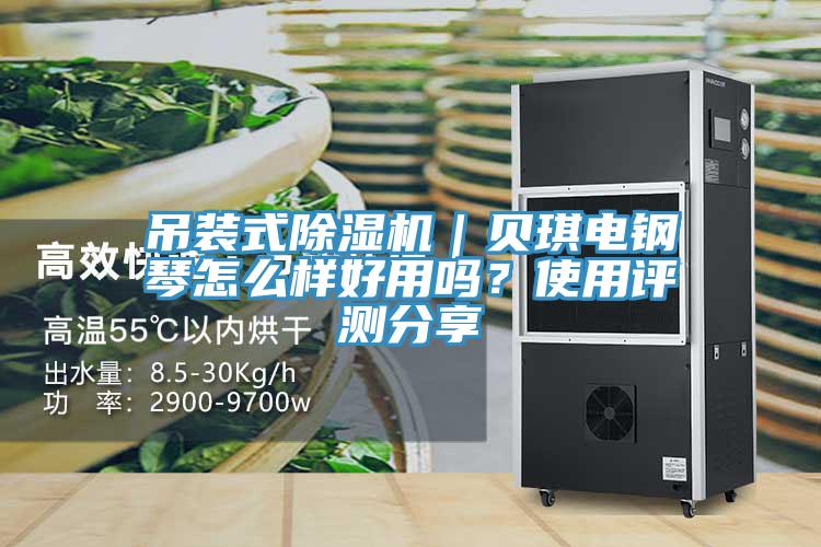 吊裝式除濕機(jī)｜貝琪電鋼琴怎么樣好用嗎？使用評(píng)測(cè)分享