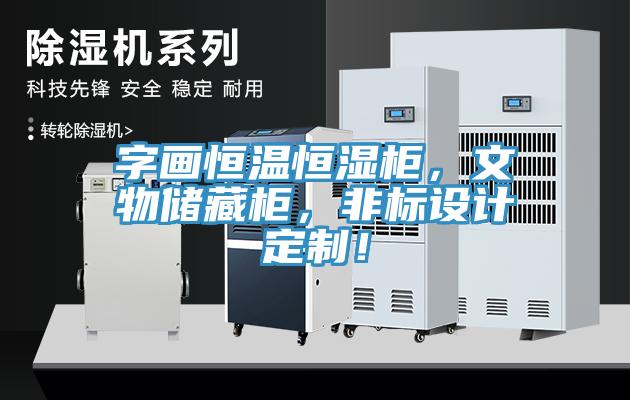 字畫恒溫恒濕柜，文物儲藏柜，非標(biāo)設(shè)計定制！