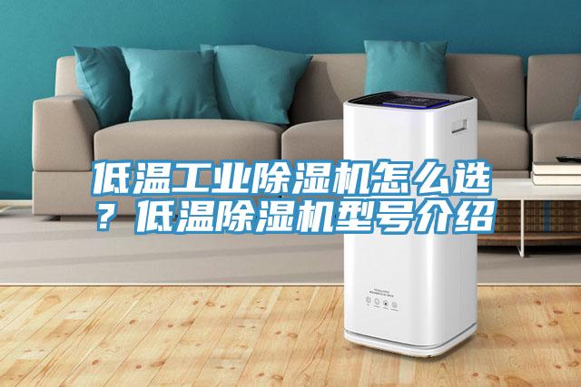 低溫工業(yè)除濕機(jī)怎么選？低溫除濕機(jī)型號(hào)介紹