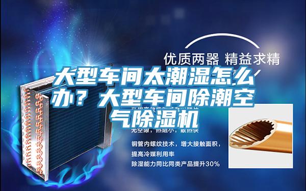 大型車間太潮濕怎么辦？大型車間除潮空氣除濕機(jī)
