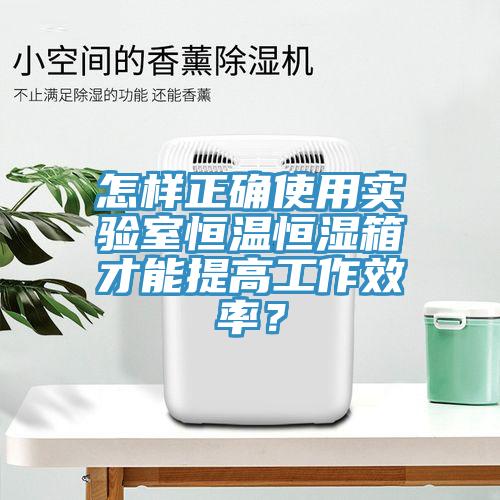 怎樣正確使用實(shí)驗(yàn)室恒溫恒濕箱才能提高工作效率？
