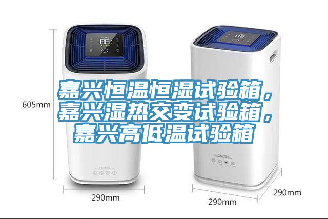 嘉興恒溫恒濕試驗(yàn)箱，嘉興濕熱交變?cè)囼?yàn)箱，嘉興高低溫試驗(yàn)箱
