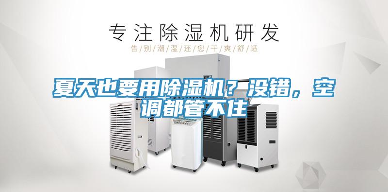 夏天也要用除濕機(jī)？沒(méi)錯(cuò)，空調(diào)都管不住