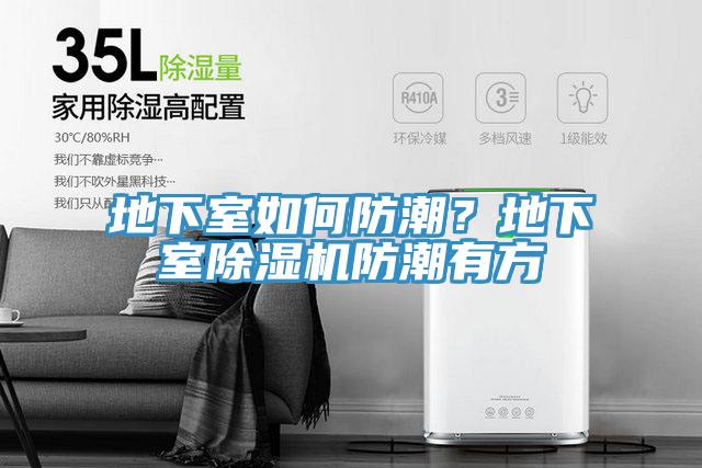 地下室如何防潮？地下室除濕機(jī)防潮有方