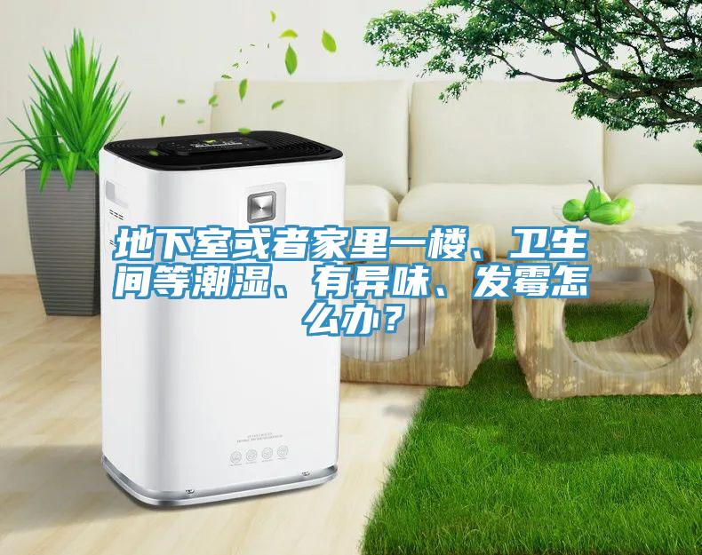 地下室或者家里一樓、衛(wèi)生間等潮濕、有異味、發(fā)霉怎么辦？
