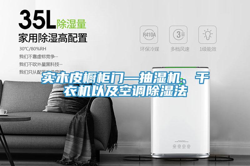 實(shí)木皮櫥柜門—抽濕機(jī)、干衣機(jī)以及空調(diào)除濕法