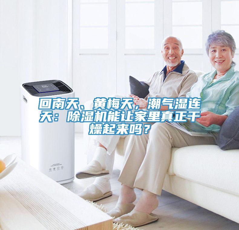 回南天、黃梅天，潮氣濕連天：除濕機(jī)能讓家里真正干燥起來嗎？