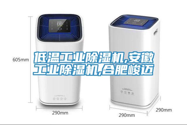 低溫工業(yè)除濕機(jī),安徽工業(yè)除濕機(jī),合肥峻邁