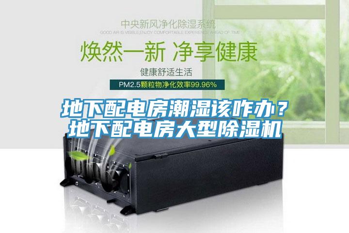 地下配電房潮濕該咋辦？地下配電房大型除濕機