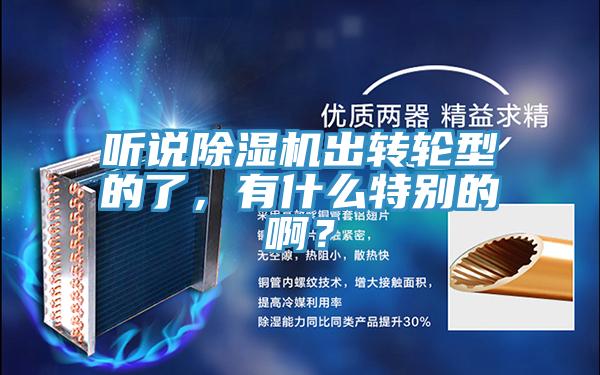 聽說除濕機出轉(zhuǎn)輪型的了，有什么特別的??？