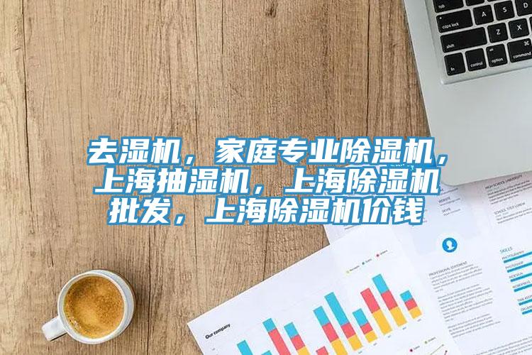 去濕機，家庭專業(yè)除濕機，上海抽濕機，上海除濕機批發(fā)，上海除濕機價錢