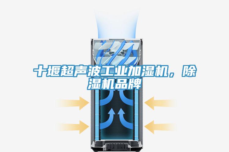 十堰超聲波工業(yè)加濕機，除濕機品牌