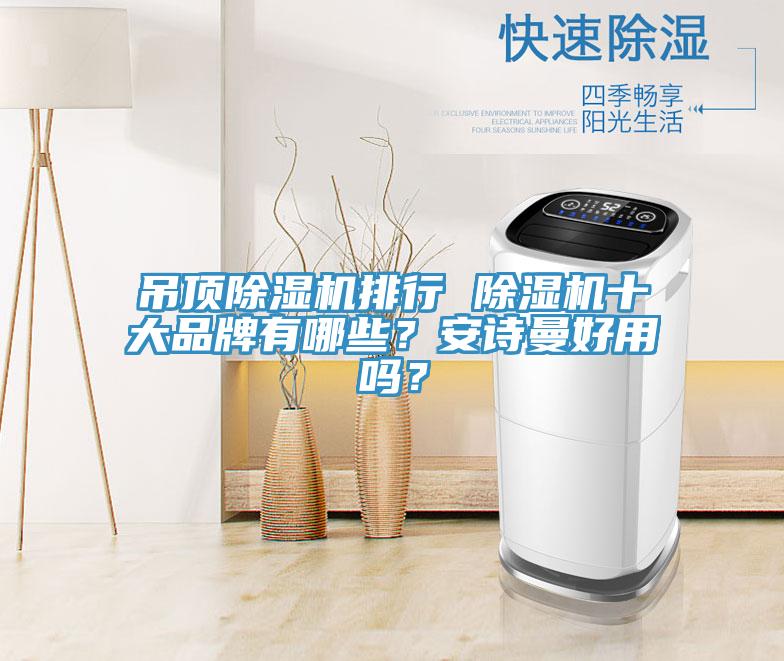 吊頂除濕機排行 除濕機十大品牌有哪些？安詩曼好用嗎？
