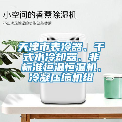 天津市表冷器、干式水冷卻器、非標(biāo)準(zhǔn)恒溫恒濕機(jī)、冷凝壓縮機(jī)組