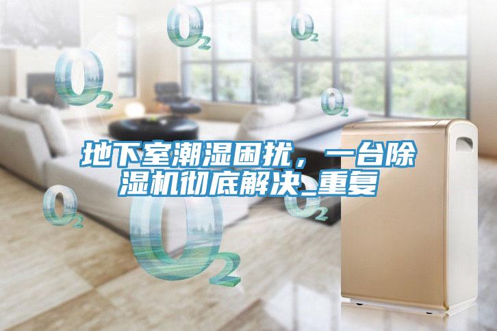 地下室潮濕困擾，一臺(tái)除濕機(jī)徹底解決_重復(fù)