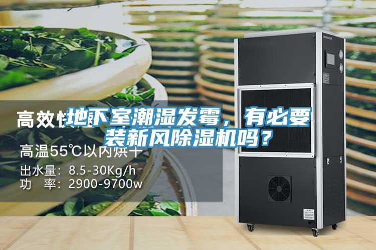 地下室潮濕發(fā)霉，有必要裝新風(fēng)除濕機(jī)嗎？