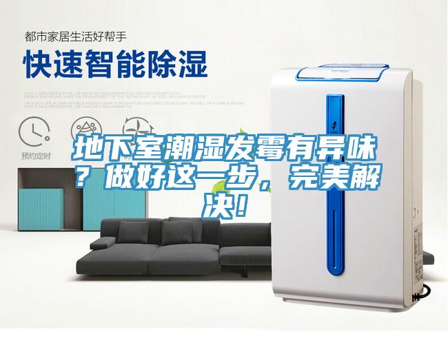 地下室潮濕發(fā)霉有異味？做好這一步，完美解決！