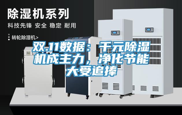 雙.11數(shù)據(jù)：千元除濕機成主力，凈化節(jié)能大受追捧