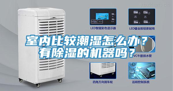 室內(nèi)比較潮濕怎么辦？有除濕的機器嗎？