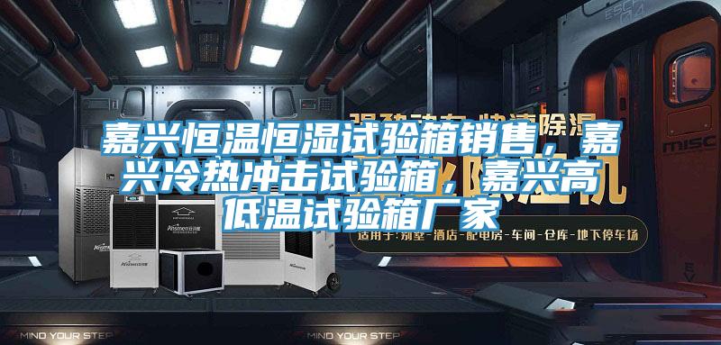 嘉興恒溫恒濕試驗(yàn)箱銷(xiāo)售，嘉興冷熱沖擊試驗(yàn)箱，嘉興高低溫試驗(yàn)箱廠家