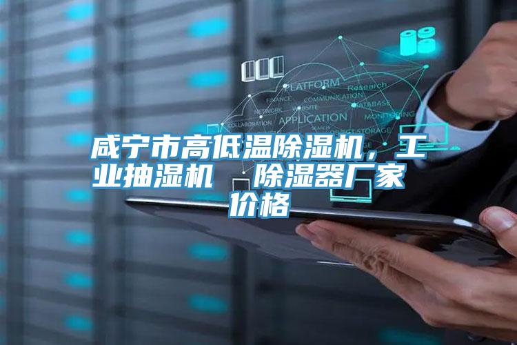 咸寧市高低溫除濕機(jī)，工業(yè)抽濕機(jī)  除濕器廠家 價(jià)格