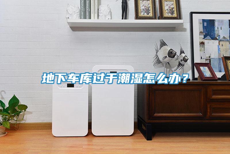 地下車(chē)庫(kù)過(guò)于潮濕怎么辦？