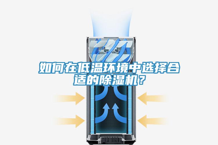 如何在低溫環(huán)境中選擇合適的除濕機？