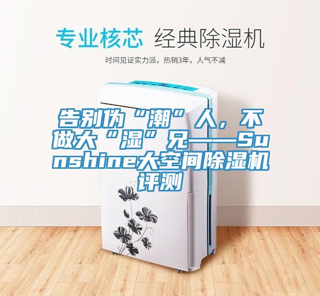 告別偽“潮”人，不做大“濕”兄——Sunshine大空間除濕機(jī)評(píng)測(cè)