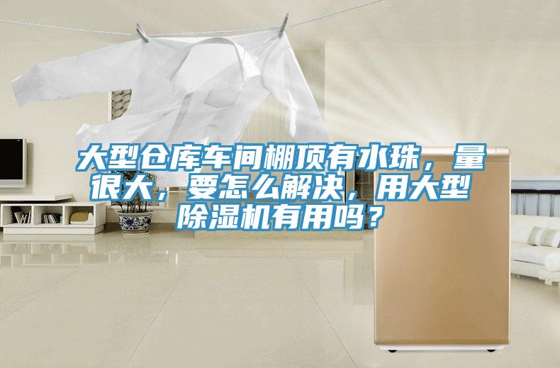大型倉庫車間棚頂有水珠，量很大，要怎么解決，用大型除濕機(jī)有用嗎？
