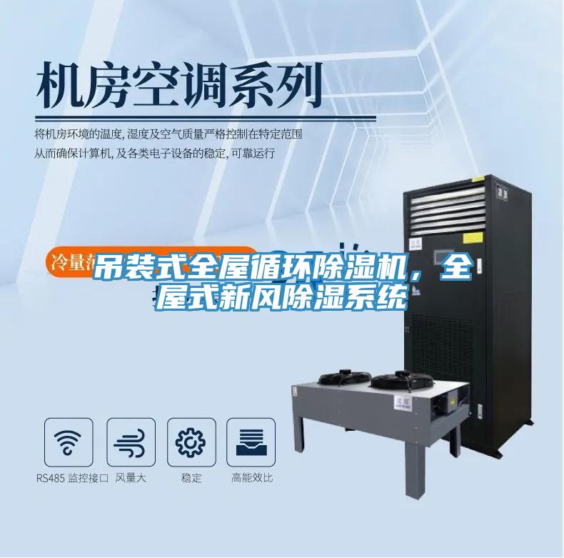 吊裝式全屋循環(huán)除濕機，全屋式新風(fēng)除濕系統(tǒng)