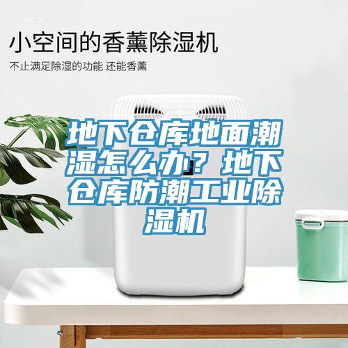 地下倉庫地面潮濕怎么辦？地下倉庫防潮工業(yè)除濕機