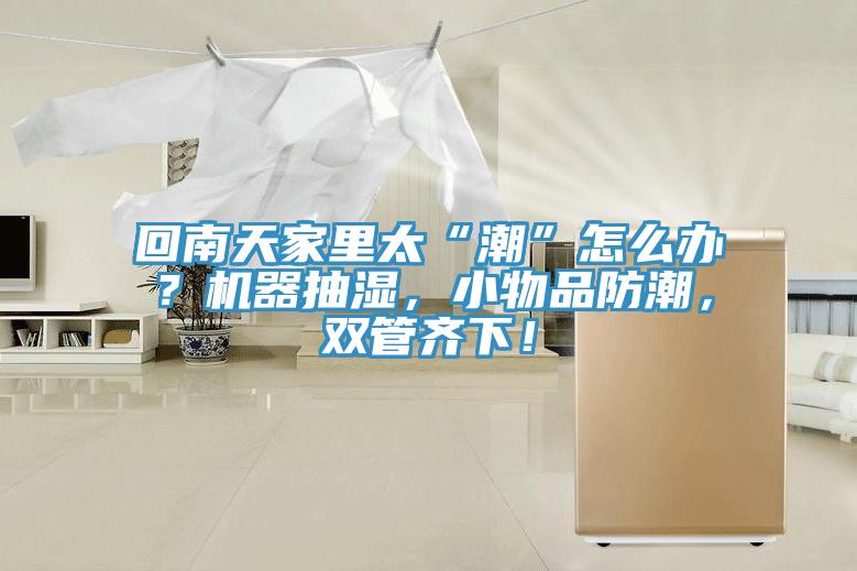 回南天家里太“潮”怎么辦？機(jī)器抽濕，小物品防潮，雙管齊下！