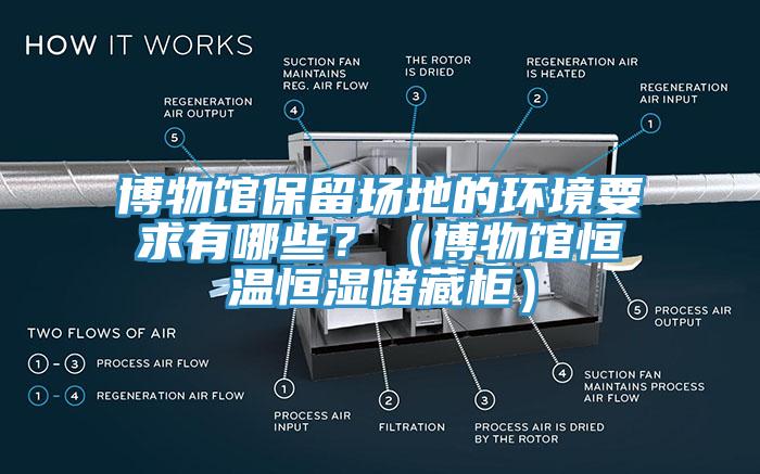 博物館保留場地的環(huán)境要求有哪些？（博物館恒溫恒濕儲藏柜）