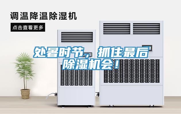 處暑時(shí)節(jié)，抓住最后除濕機(jī)會(huì)！