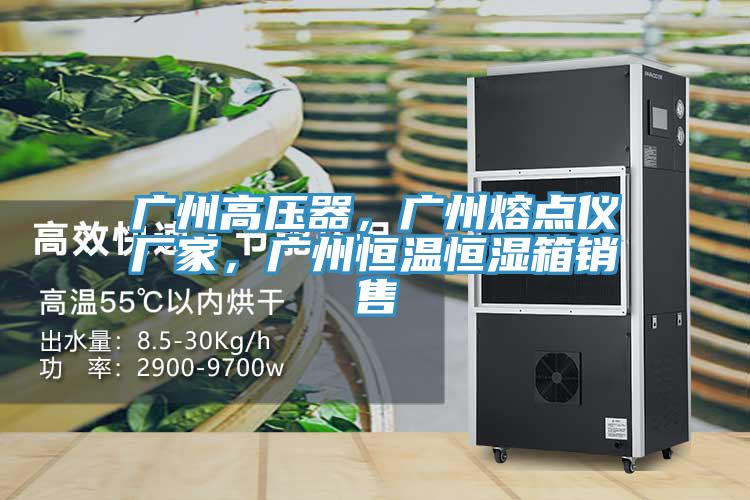 廣州高壓器，廣州熔點(diǎn)儀廠家，廣州恒溫恒濕箱銷(xiāo)售