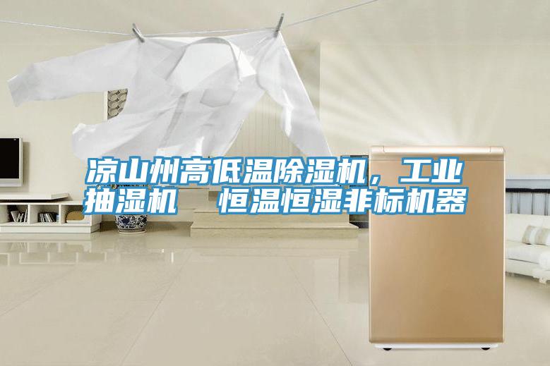 涼山州高低溫除濕機(jī)，工業(yè)抽濕機(jī)  恒溫恒濕非標(biāo)機(jī)器
