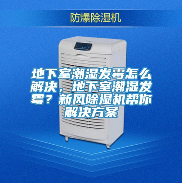 地下室潮濕發(fā)霉怎么解決，地下室潮濕發(fā)霉？新風(fēng)除濕機(jī)幫你解決方案