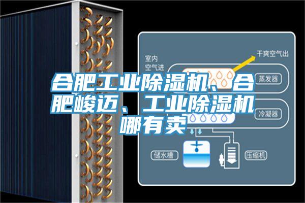 合肥工業(yè)除濕機(jī)、合肥峻邁、工業(yè)除濕機(jī)哪有賣