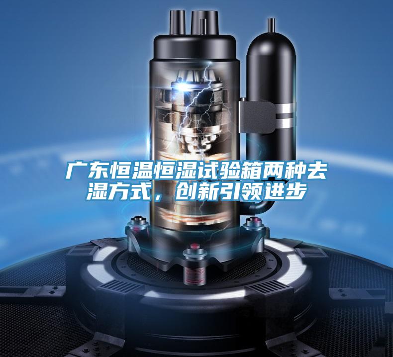 廣東恒溫恒濕試驗(yàn)箱兩種去濕方式，創(chuàng)新引領(lǐng)進(jìn)步