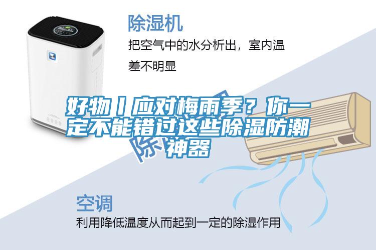 好物丨應(yīng)對梅雨季？你一定不能錯過這些除濕防潮神器