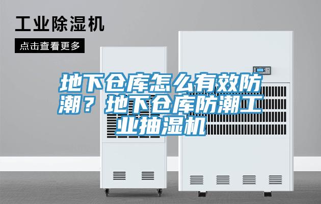 地下倉庫怎么有效防潮？地下倉庫防潮工業(yè)抽濕機(jī)