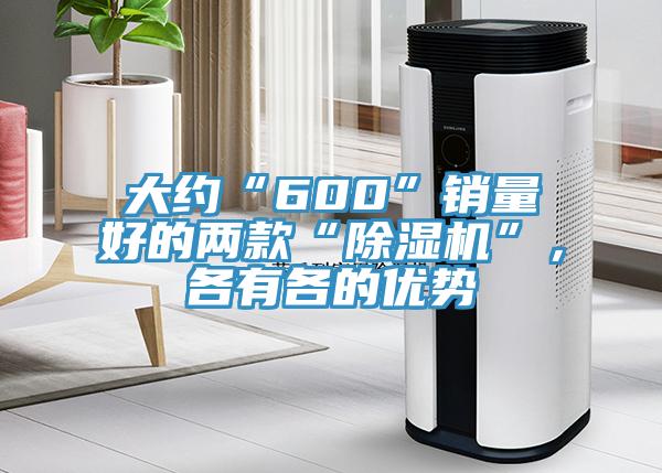 大約“600”銷量好的兩款“除濕機”，各有各的優(yōu)勢