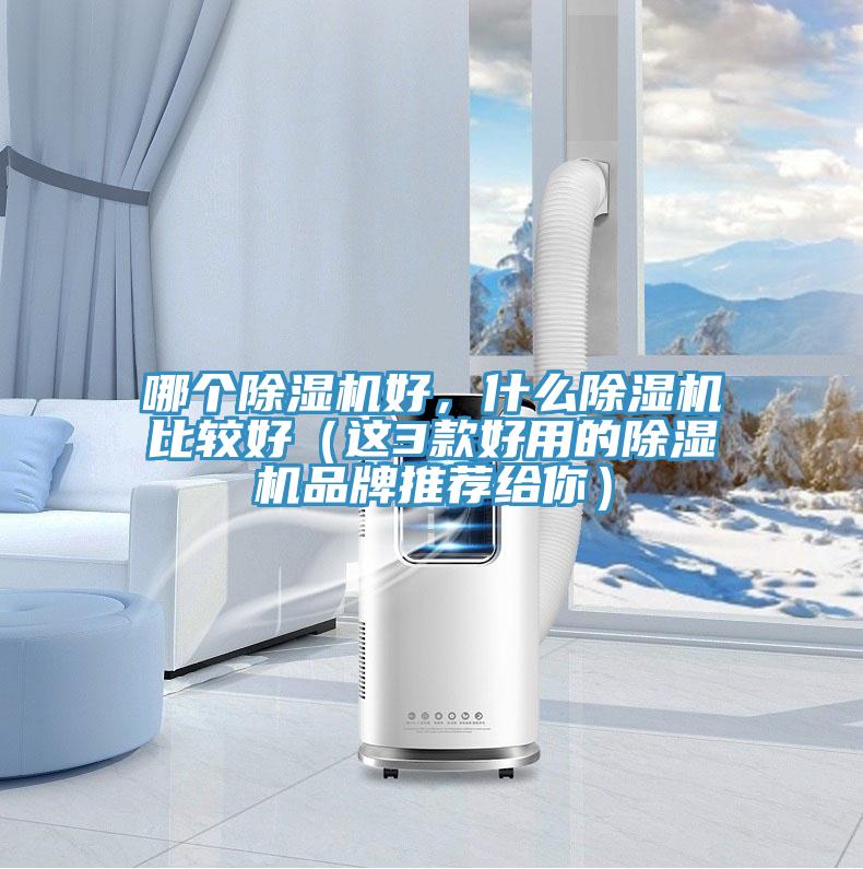 哪個(gè)除濕機(jī)好，什么除濕機(jī)比較好（這3款好用的除濕機(jī)品牌推薦給你）
