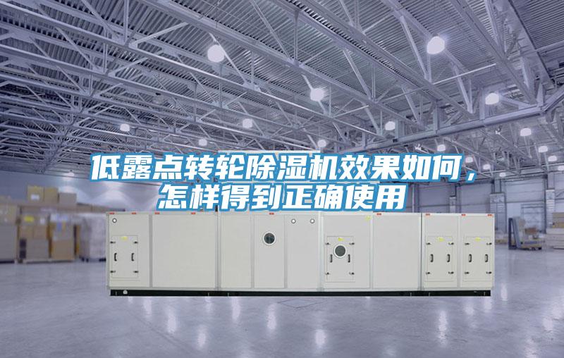 低露點(diǎn)轉(zhuǎn)輪除濕機(jī)效果如何，怎樣得到正確使用