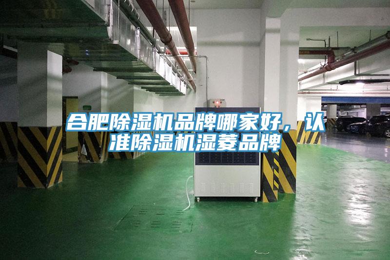 合肥除濕機(jī)品牌哪家好，認(rèn)準(zhǔn)除濕機(jī)濕菱品牌